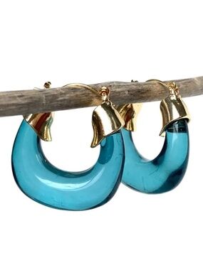 Funky Monkey Acrylic Blue Round Resin Hoop Earrings